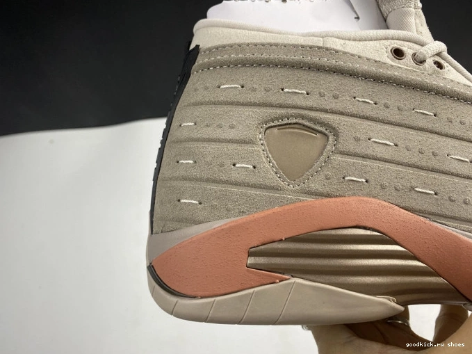 Terra Blush 14 DC9857-200 AIR Retro Jordan Clot Low 0714